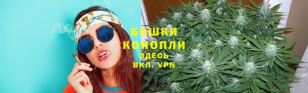 бошки Арсеньев